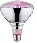 Paulmann LED-Pflanzenlampe Wachstum 230V E27 6.5W Bernstein 1St.