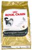 Royal Canin Adult Norwegian Forest Cat Katzenfutter 10 kg