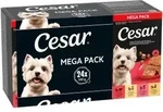 Cesar Classic Mix Pat&eacute; Multipack Nassfutter Hund Schale (150 g) 1 Packung (24...