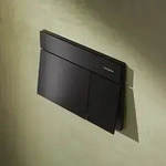 hansgrohe iFrame Element E Bet&auml;tigungsplatte f&uuml;r 2-Mengen-Sp&uuml;lung,