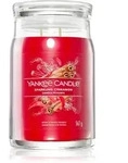Yankee Candle Sparkling Cinnamon Duftkerze 567 g