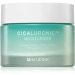 Mizon CicaluronicTM n&auml;hrende Feuchtigkeit spendende Creme f&uuml;r sehr trockene und