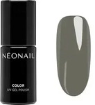 NEONAIL Unwritten Canvas Gel Nagellack f&uuml;r UV/LED Lampe Farbton Evergreen Mood...