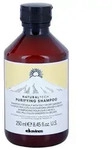Davines Naturaltech Purifying Shampoo das Reinigungsshampoo gegen Schuppen 250 ml