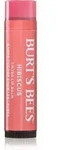 Burt&rsquo;s Bees Tinted Lip Balm Lippenbalsam Farbton Hibiscus 4.25 g