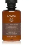 Apivita Dandruff Oily Dandruff Shampoo Shampoo gegen Schuppen f&uuml;r fettiges Haar 250