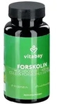 Forskolin 400 mg Coleus Forskohlii Extrakt vegan Kapseln