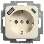 Busch-Jaeger SI SCHUKO/2XUSB-STD A+C WS / BUSCH 20 EUCB2USBAC-212 2CKA002011A6295