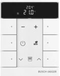 Busch-Jaeger RAUMTEMP.REGLER BED.FUNKT. 6F / BUSCH SBR-F-6.0.11-84 2CKA006220A0888