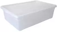 Rotho Clearbox 22 l CLEAR