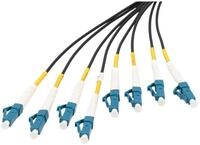 DIGITUS Breakout cable 8 Fiber SM G.657.A1 LC/UPC-LC/UPC universal Color black
