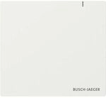 Busch-Jaeger SYSTEM ACCESS POINT 3.0 / BUSCH SAP.13 2CKA006200A0868