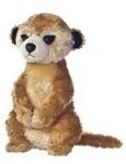 Aurora MF MEERKAT