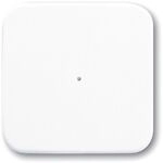 Busch-Jaeger 1-FACH BEDIEN. WAVELINE / BUSCH 6731-214 2CKA006730A0046