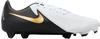 Nike FD6723/100, Nike PHANTOM GX II ACADEMY FG/MG - beige Herren