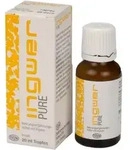INGWER PURE Tropfen 20 ml Tropfen