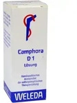 WELEDA CAMPHORA D 1 Dilution 20 ml Dilution