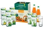 Schoenenberger SCHLANKHEITS F&Uuml;R 10 TAGE M&ouml;hre-Mango 1 Packung Saft