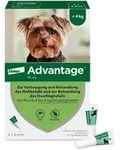 ADVANTAGE 40 HUND 4 St L&ouml;sung