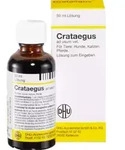 Crataegus ad usum vet. 50 ml L&ouml;sung 50 ml Dilution