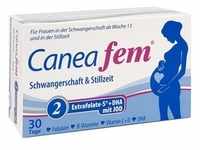 Canea fem 2 Schwangerschaft + Stillzeit