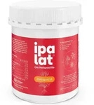 ipalat Die Halspastille Honigmild mentholfrei ohne Zucker 400 St Pastillen