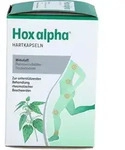 HOX alpha Hartkapseln