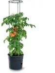 Prosperplast Tomatenpflanztopf mit Rankhilfe Tomato Grower Anthrazit 39,2 cm