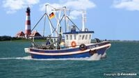 Kibri H0 (1:87) 39161 - Spur H0 Krabbenkutter CUX 16 Modellbahn