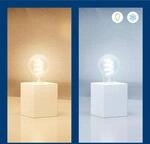 WiZ A60 LED-Filamentlampe WiFi E27 6,3W RGBW