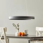 Paul Neuhaus Q-VITO LED-H&auml;ngelampe 59cm anthrazit
