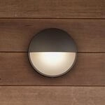 Philips Capricorn LED-Au&szlig;enwandleuchte anthrazit