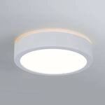 Paulmann Aviar LED-Deckenlampe &Oslash; 22cm wei&szlig; 4.000K