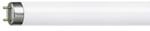 Leuchtstoffr&ouml;hre G13 T8 36W MASTER TL-D Super 1m