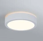 Paulmann Aviar LED-Deckenlampe &Oslash; 22cm wei&szlig; 3.000K