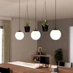 Pendellampe Rondo 3 Blumentopf dreiflammig schwarz