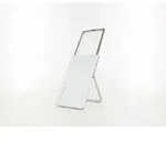 Eschenbach easyPOCKET XL 2,5x silver