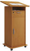 Stehpult »Meeta« mit Tür braun, VCM MORGENTHALER GMBH, 120x50 cm