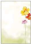 Sigel Motivpapier &raquo;Spring Flowers&laquo; DP123 gr&uuml;n, 21x29.7 cm
