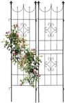 relaxdays 2er-Set Rankgitter Metall 183 cm Fleur-de-Lis silber
