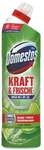 Domestos WC-Reiniger Gel &raquo;Kraft & Frische Lime Fresh&laquo; 750 ml gr&uuml;n