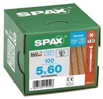SPAX Terrassenschrauben T25 Zylinderkopf Edelstahl A2 5 x 60 mm 100 St. silber