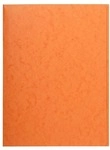 EXACOMPTA 25er-Pack Sammelmappe - A4 - 200 Blatt orange, 24x32 cm