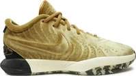 Sneakers Nike Lebron XXI Qs FZ7883 700 Braun Male