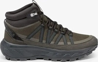 Trekkingschuhe Jack Wolfskin Wild Hike Texapore Mid A65576 Khakifarben Male