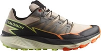 Laufschuhe Salomon Thundercross L47688400 Braun Male