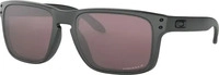 Sonnenbrillen Oakley Holbrook OO9102-B5 Grau Male