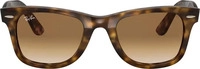 Sonnenbrillen Ray-Ban 0RB4340 Braun Female