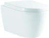 PREMIUM 100 Wand-Tiefspül-WC, spülrandlos, oval, PR1070,
