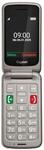 GL 595 Titanium Handy